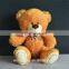 small size classical brown plush teddy bear toys with scarf