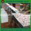 high-capacity Weight Grading Machine for chicken feet paws with good price weight grader