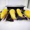 Automatic Durian Vacuum Packing Machine