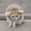 Funny Pet dog Kitty wigs cat Lion plush Cap cosplay with ear sample free