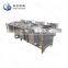 Industrial Lettuce Leaf Vegetable Salad Chopped Vegetable Fruit Washing Machine