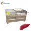 industrial nylon brush root vegetable potato ginger carrot asparagus washing peeling machine