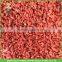 New crop dried wolfberry of 220 grains per 50 gram