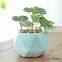 Macaron plant pot small fresh coarse pottery tabletop ceramic flowers with holes