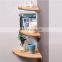 European concise style Green and no pollution modern corner wall shelf