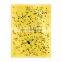 Double Side Garden Greenhouse Fly Control Yellow Glue Board Insect Sticky Traps Sticky Fly Paper Fly Killers