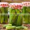 High quality best selling pickled cucumber/Tasty Pickled Cucumbers Best Price from Vietnam