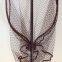 landing net