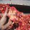 Pomegranate seed peeling machine pomegranate seed removing machine