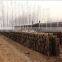 Professional manufacture automatic clay brick making machine | red brick machine | china clay brick making machine