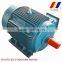 YE2 series three-phase squirrel cage induction motor