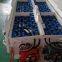 Mining Batteries, Locomotive Batteries, Electric Vehicle Batteries, Starting Batteries, Traction Batteries, Explosion-proof Batteries, Lead-acid Batteries, Forklift Batteries