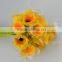 Fashion Champagne fresh cut gerbera with yellow color