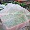Lightweight greenhouse anti insect net for agriculture