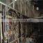 fourdrinier machine for paper, fluting paper machine, fourdrinier paper machine for sale