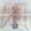 Frozen Tilapia fillet fish skinless, boneless, PBO, chemical free