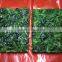 with BRC certificate iqf frozen spinach