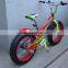 2016 new model SAMPLE AVAILABLE 20" * 4.0 fat tire BMX freestyle bicycle for sale (pw-fs20003)