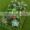 Wall decoration new products artificial moss frame fake decoration frame with competitive price