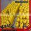 Electroplated Diamond Hole Saw Diamond Core Drill Bits