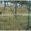 Powder coated or galvanized barbed wire with high quality
