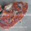 Arizona petrified wood side table