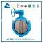 China Manufacturer DN40-1200 U Type Flanged Butterfly Valve with worm gear