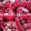 Chinese Fresh red round onions 7-9CM 9-11CM for sale