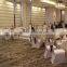 Woven axminster carpet 80% wool and 20% nylon carpet domeino carpet