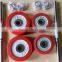 20KG painted dumbbell set with silicon cover