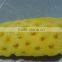 Thailand IQF Pineapple Pieces Certified HACCP, ISO 22000 , GMP, HALAL & KOSHER