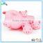 Animals Floating Family Set Bath Toy