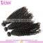 8A grade virgin kinky curly hair wholesale virgin brazilian kinky curly hair hot brazilian kinky curly remy hair weave