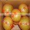 2016 new crop fresh pomelo