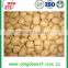 Grade A blanched peanut kernel with best price