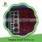 Chinese Organic Fresh Fruit Product Lingonberry