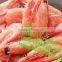 home quick freezer/individual quick freezer/meat quick freezing freezer