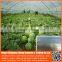 Cheap plastic agricultural greenhouse with 3 layer plastic 100% virgin hdpe anti uv woven greenhouse film for 2-8 years
