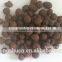 Expanded Clay balls for Indoor Garden/Bonsai, Vertical Growing System