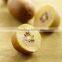 best quality new chinese kiwifruit brand