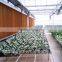 evaporative cooling pad used for greenhouse