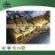 Excavator Bucket Teeth Rock Bucket Teech
