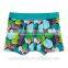 2016 Boy Model Underwear & Boy Boxer Briefs With Cool Printing