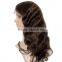 Xuchang Hair Factory In Stock Fast Delivery Mink Brazilian Hair Wigs Human Hair