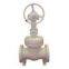 Flexible Wedge Gate Valve