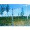 Razor Wire(Hebei Aining factory)
