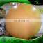 3 m Inflatable Planet Balloon Inflatable Sun Helium Ball Inflatable Advertising Decoration Party