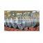 Cold rolled steel coil