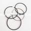 Construction Machinery 3103157 4058969 Diesel Engine Piston Ring