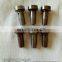 BOSH VALVE CAP 334